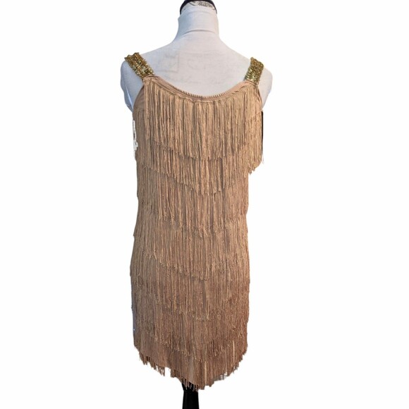 Gold Fringe Dress - Picture 2 of 6